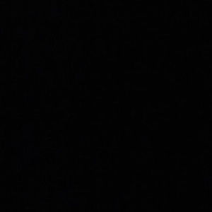 Meet your Posher, Caleb